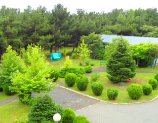 Отель "Оркестра Горизонт Геленджик" / "Orchestra Horizont Gelendzhik Resort" (быв. ЛОК Горизонт)