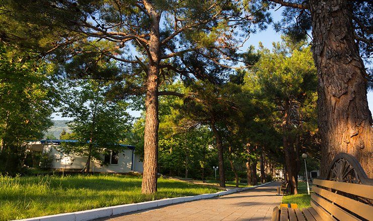 Отель "Оркестра Горизонт Геленджик" / "Orchestra Horizont Gelendzhik Resort" (быв. ЛОК Горизонт)