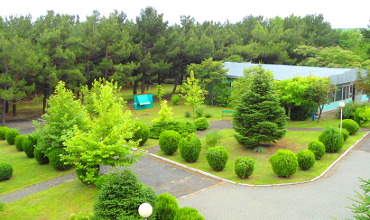 Отель "Оркестра Горизонт Геленджик" / "Orchestra Horizont Gelendzhik Resort" (быв. ЛОК Горизонт)